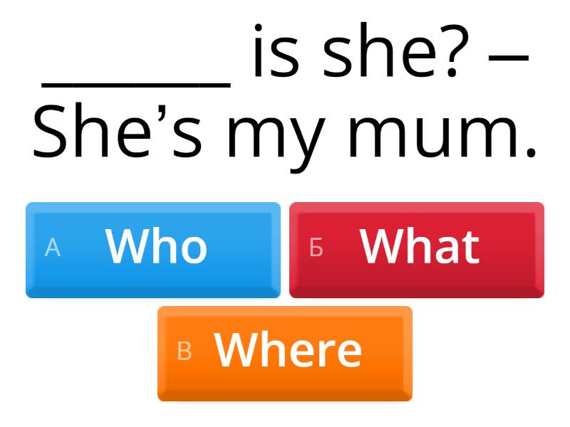 who-what-where-how-many-whose-how-which-when-quiz