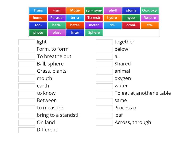 Finals Word Part 27 52 Match up