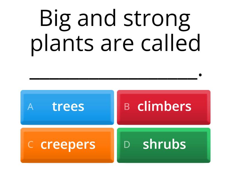 plants-quiz