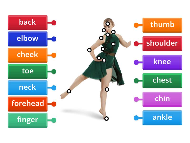 Parts of the body Biology Diagrams