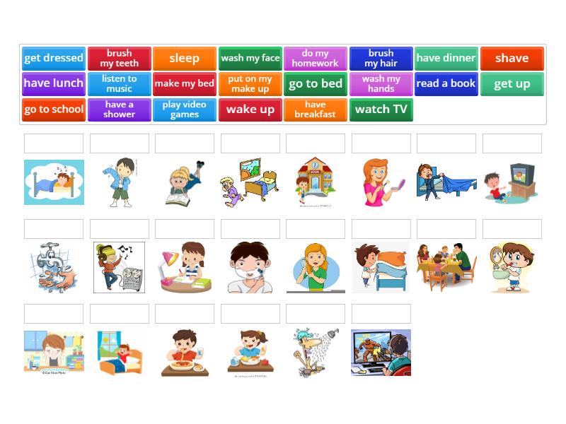 Daily routines - Matching exercise - Match up