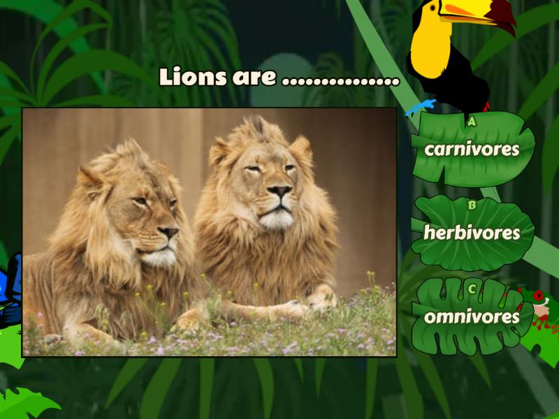 Herbivores, Carnivores And Omnivores, Ecosystem And Food Chain - Quiz