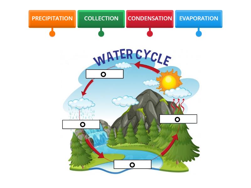 WATER CYCLE - Labelled diagram