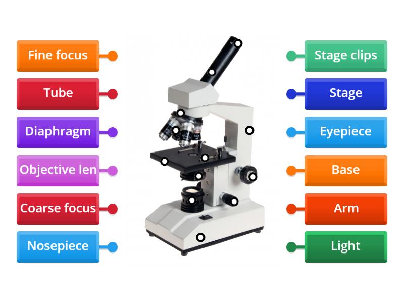 Minute to win it labeling the microscope labelled diagram