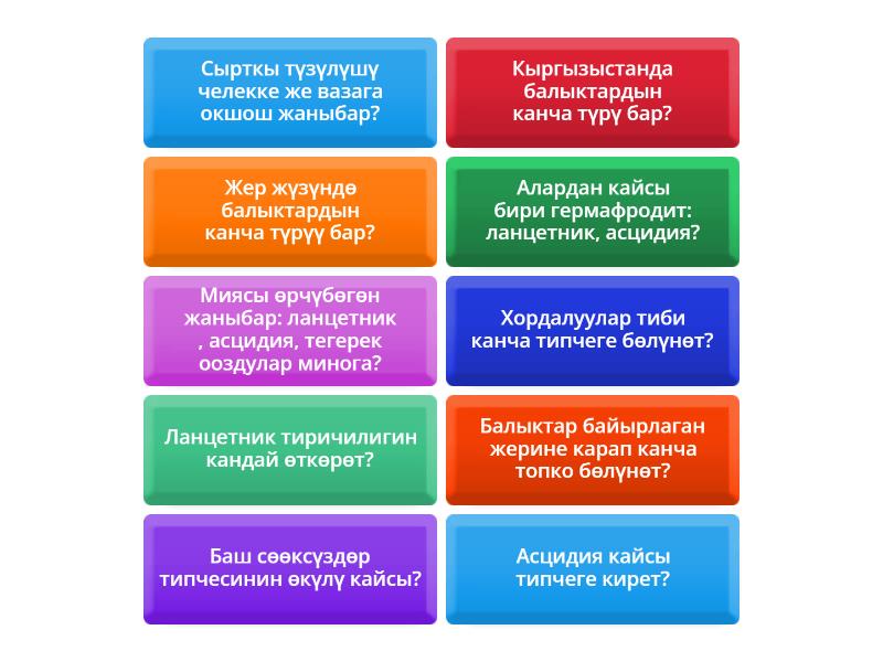 зоология - Flip tiles