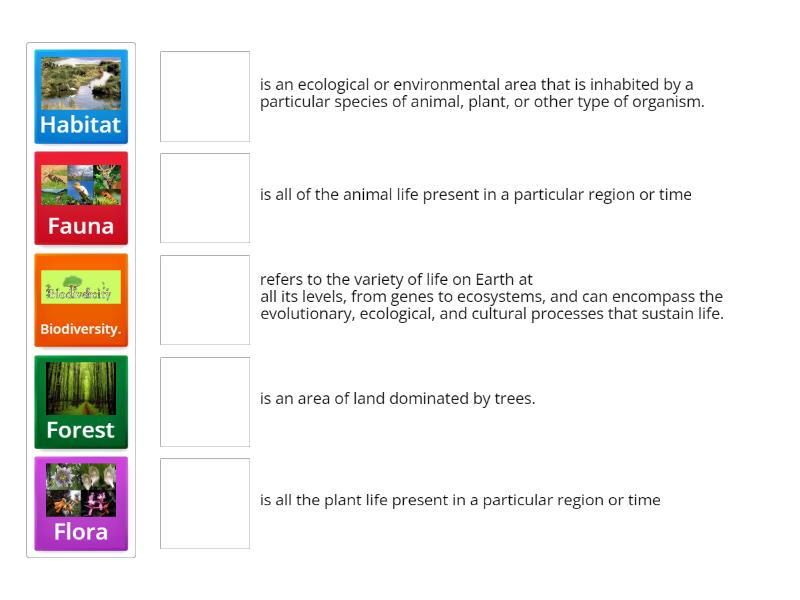 biology - Match up
