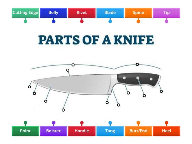 Parts of Knife - Labelled diagram