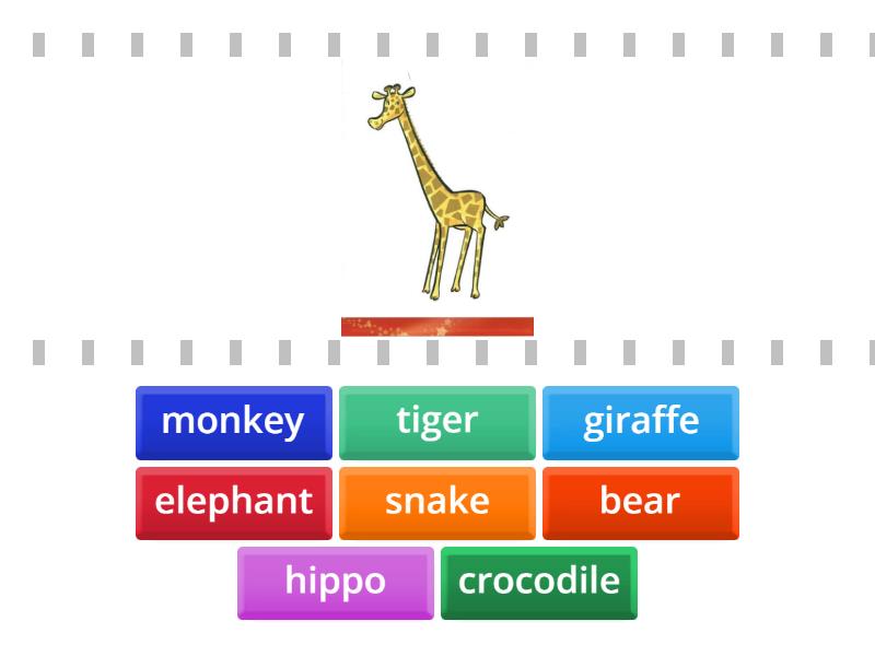 Kid's box 1. Unit 7. Wild animals. - Find the match