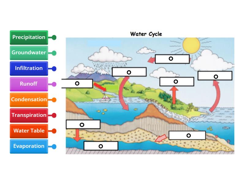 Water Cycle Diagram - Labelled diagram