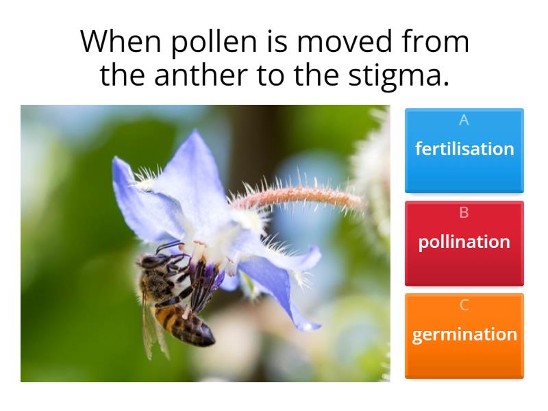 Grade 5 Unit 1 Review Quiz