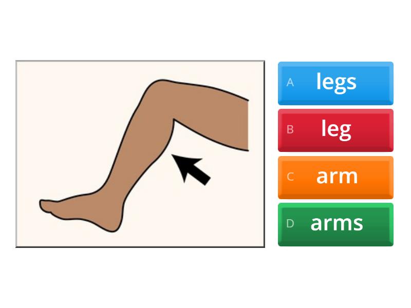 Grade 1 - Unit 4 - Body parts - Quiz