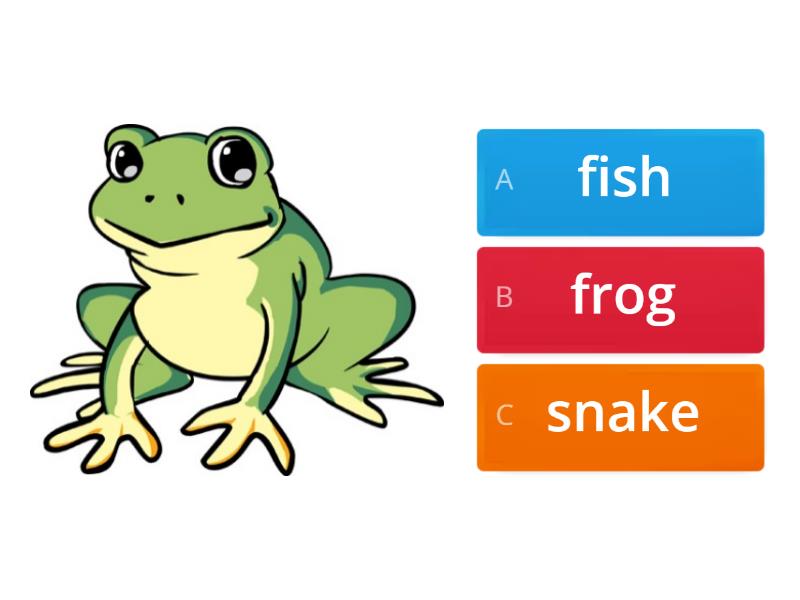 Spotlight 2 can cant wordwall. Spotlight 2 can can't. Животные на английском языке 2 класс. Каких животных проходят во 2 классе по английскому. Wordwall can can't Spotlight 2 класс.