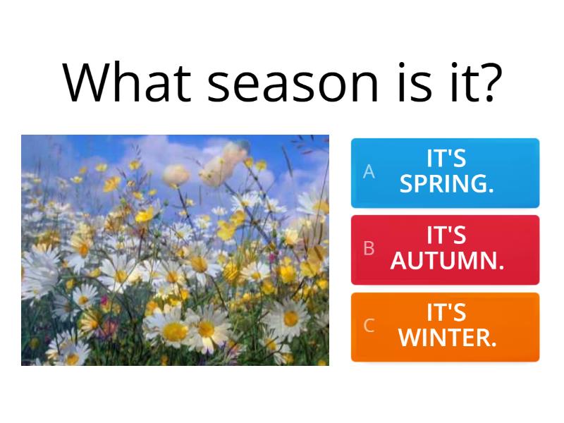 Spring! - Quiz