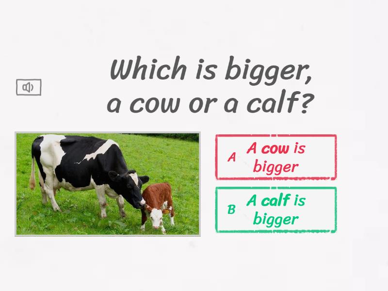 Which is bigger smaller quiz