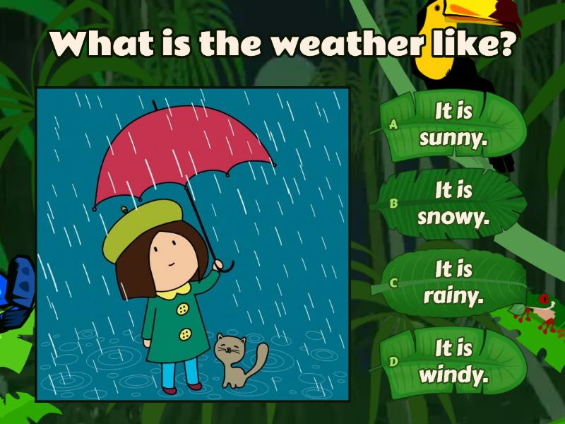 Weather sentences