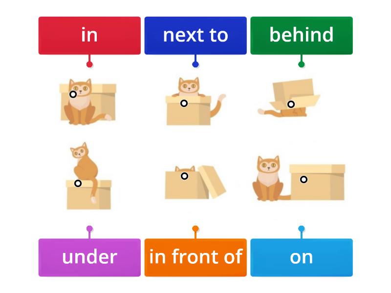 Where's the cat? [Revision - prepositions of place] - Labelled diagram