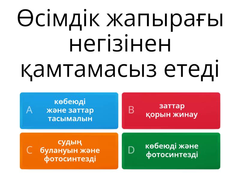 Жапыра? - Quiz