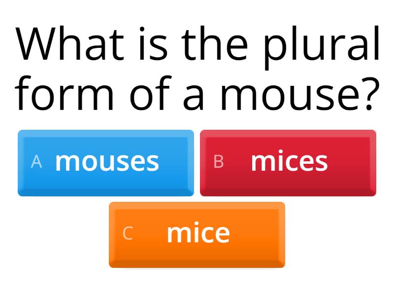 nouns-quiz