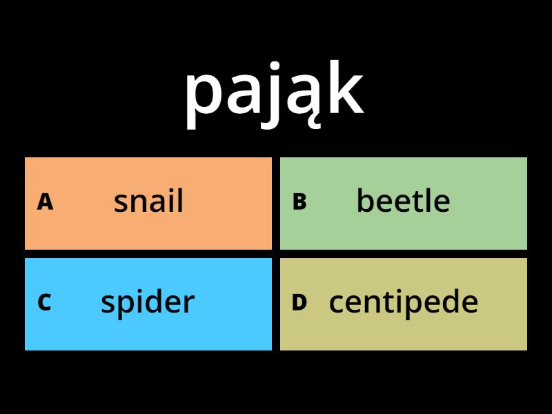 x Insects and little animals - Quiz