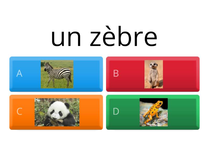 ou sont tout les animaux du zoo