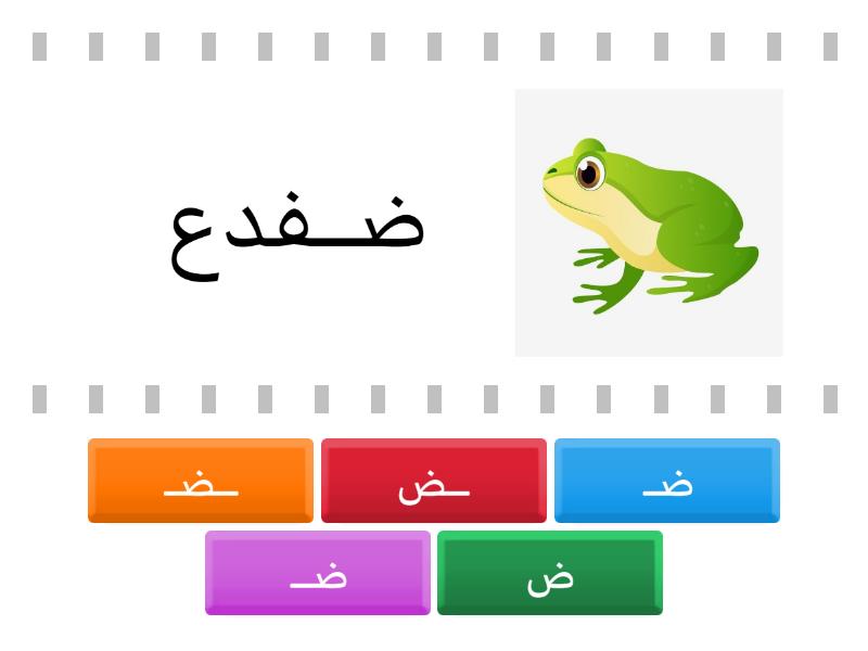 مواقع حرف ض في الكلمات - Find the match