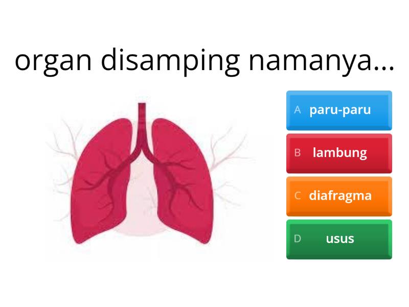 Pernapasan Manusia - Quiz