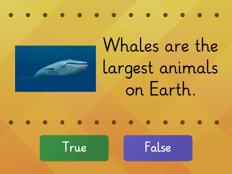 Whales - True or false