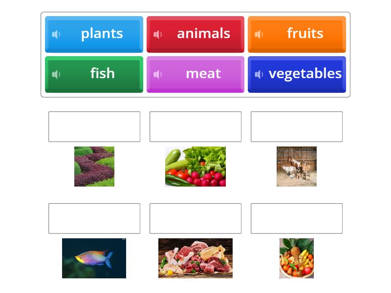 Tiger 1 Unit 4 Match Up