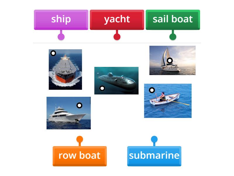 Water Transport - Labelled Diagram