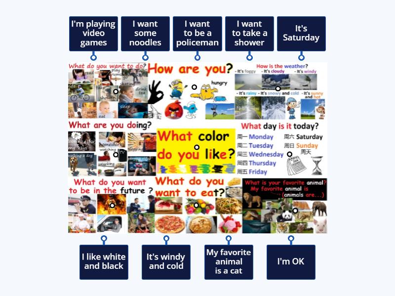 QUESTIONS (labelled) - Labelled diagram