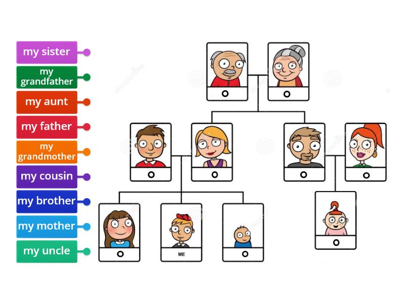 Family tree exercise - Labelled diagram