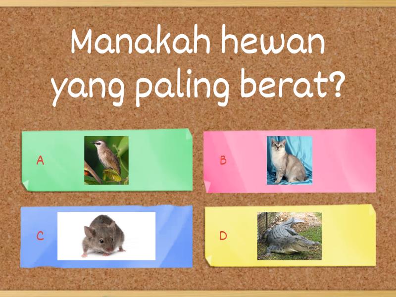 Pengukuran Berat Kelas 2 SD - Quiz