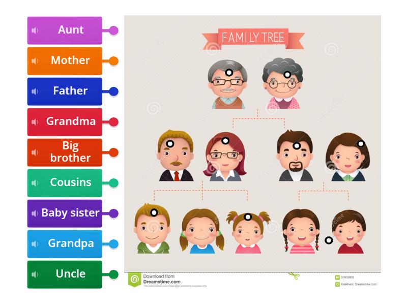 Family map - Labelled diagram