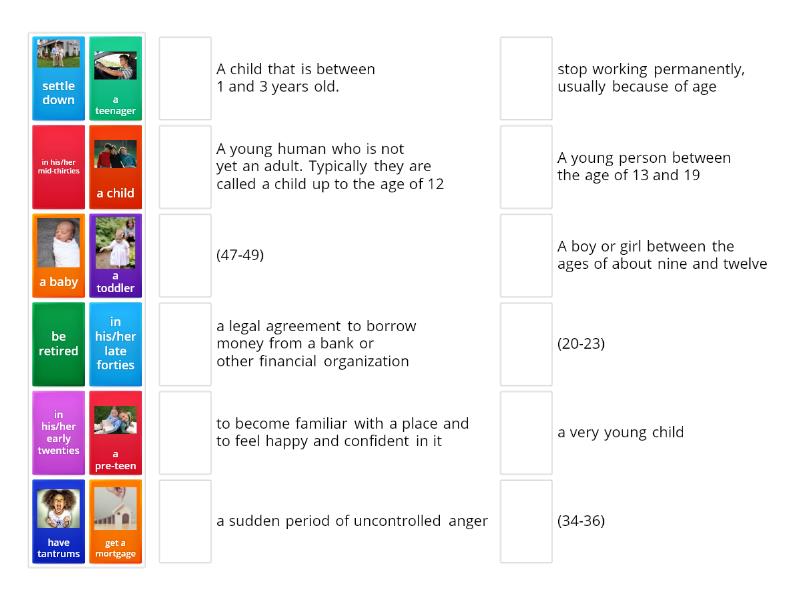 Stages of life (Unit 3A) - Match up