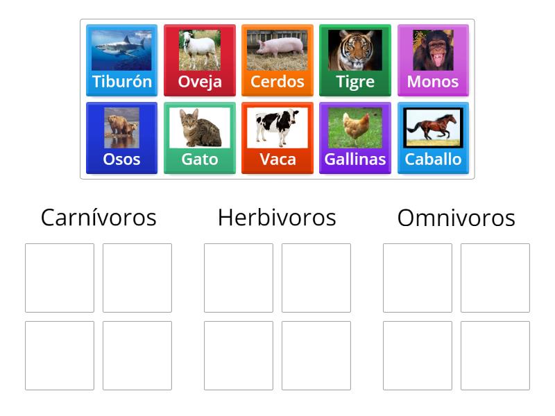 Animales carnivoros, herbivoros, omnivoros - Group sort