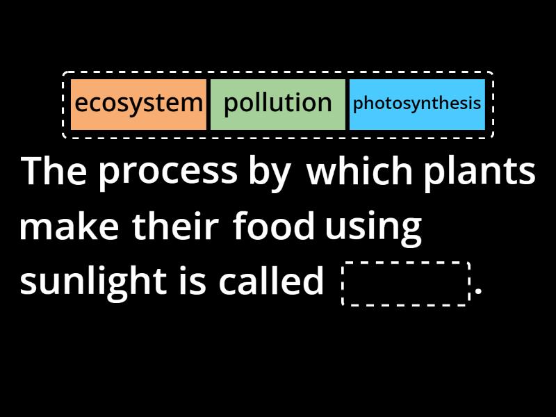 Natural Environment - Complete the sentence