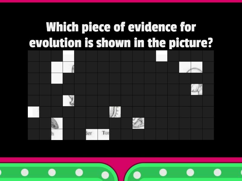 Evidence Hidden Image - Acertijo visual
