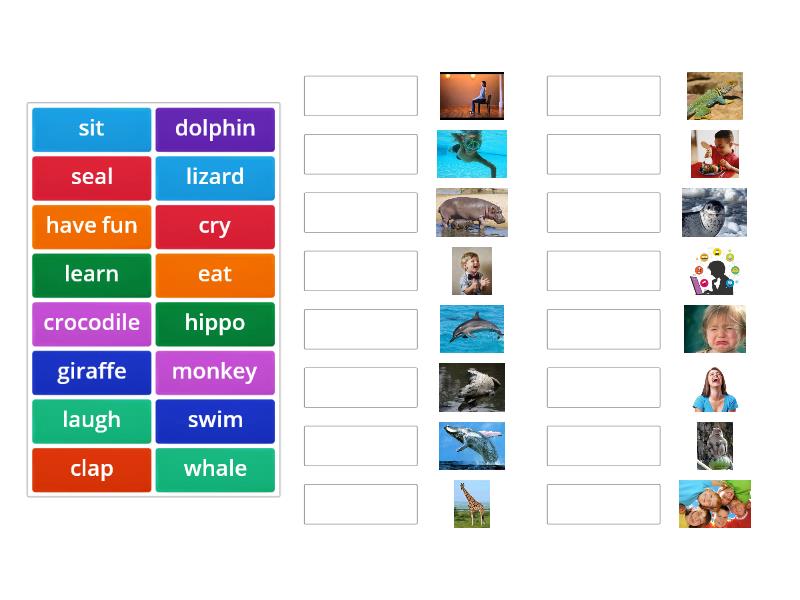 Spotlight 4 Module 4 Unit 7a Animals - Match Up