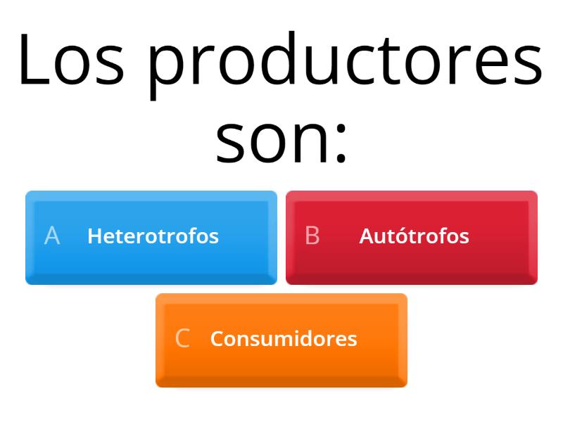 REDES Y CADENAS TROFICAS Seleccione La Respuesta Correcta A Cada ...