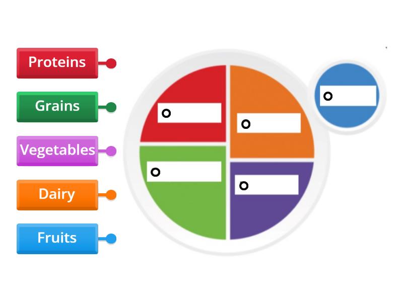 myplate-labelled-diagram