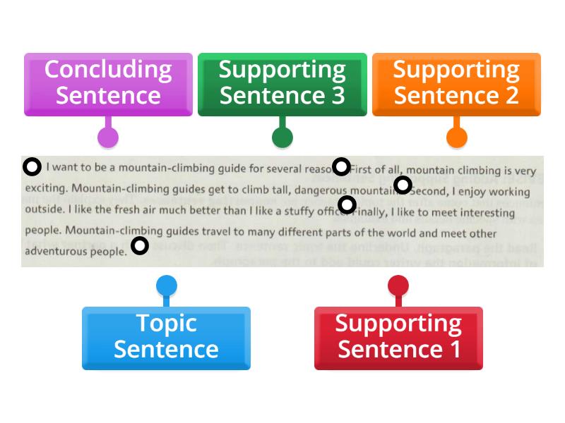 Parts Of A Paragraph - Labelled Diagram