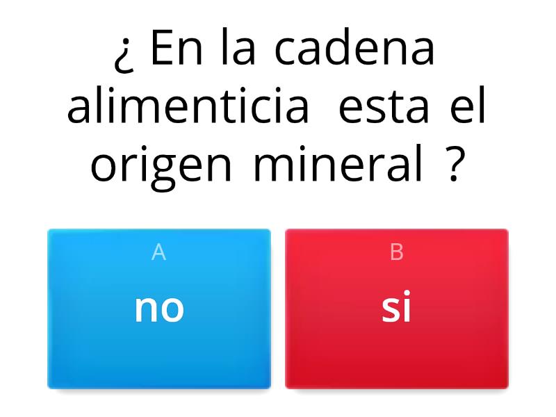 Cadena Alimenticia - Quiz