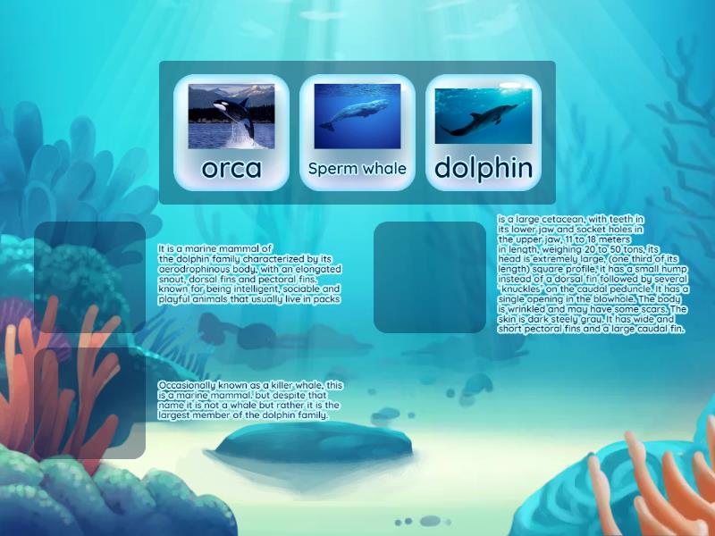 Elegir Las Diferencias Match Up