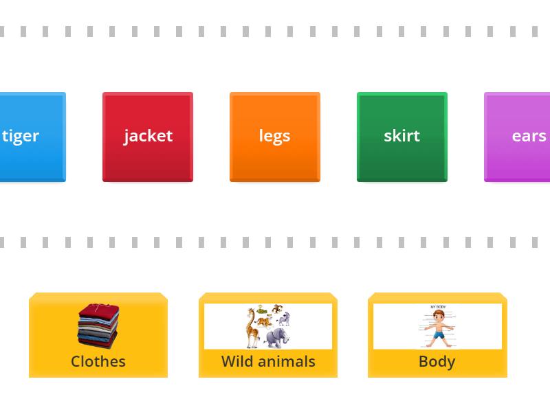 KB 1 sorting clothes/wild animals/body - Speed sorting