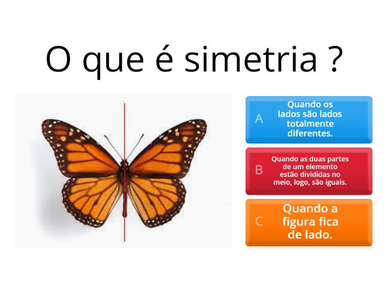 Simetria e assimetria - Test
