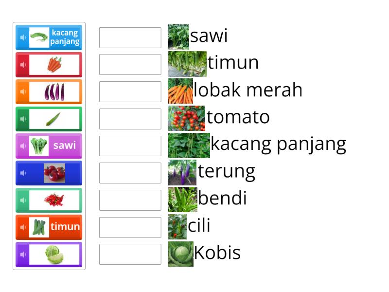 Sayur-sayuran - Match up