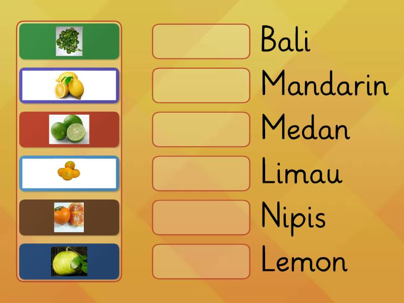 Menghubungkan Gambar Sesuai Kata - Match Up