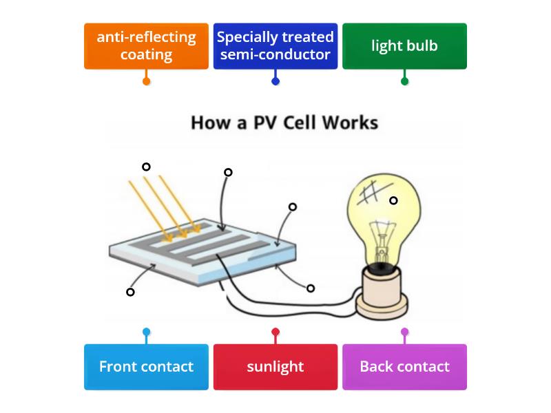 parts of the PV - Labelled diagram