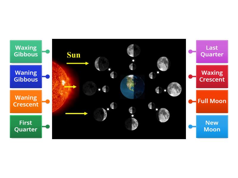 Phases of the Moon - Labelled diagram