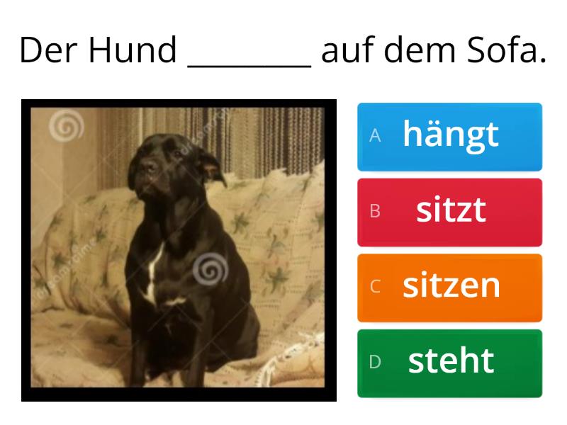 Stehen - Hängen - Liegen - Sitzen - Quiz